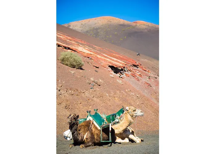 Concha Playa Blanca (Lanzarote)